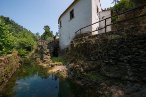 Encosta da serra do Bussaco Quintinha da Azenha